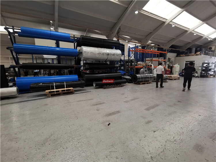 2019 Beltwin viaje al Reino Unido-22